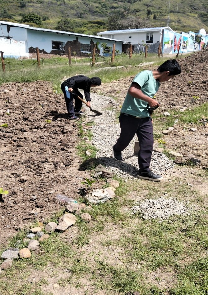 Trabajo y abonado con compost