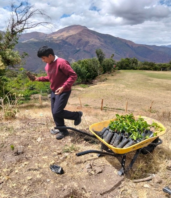 Trabajo de campo durante la siembra