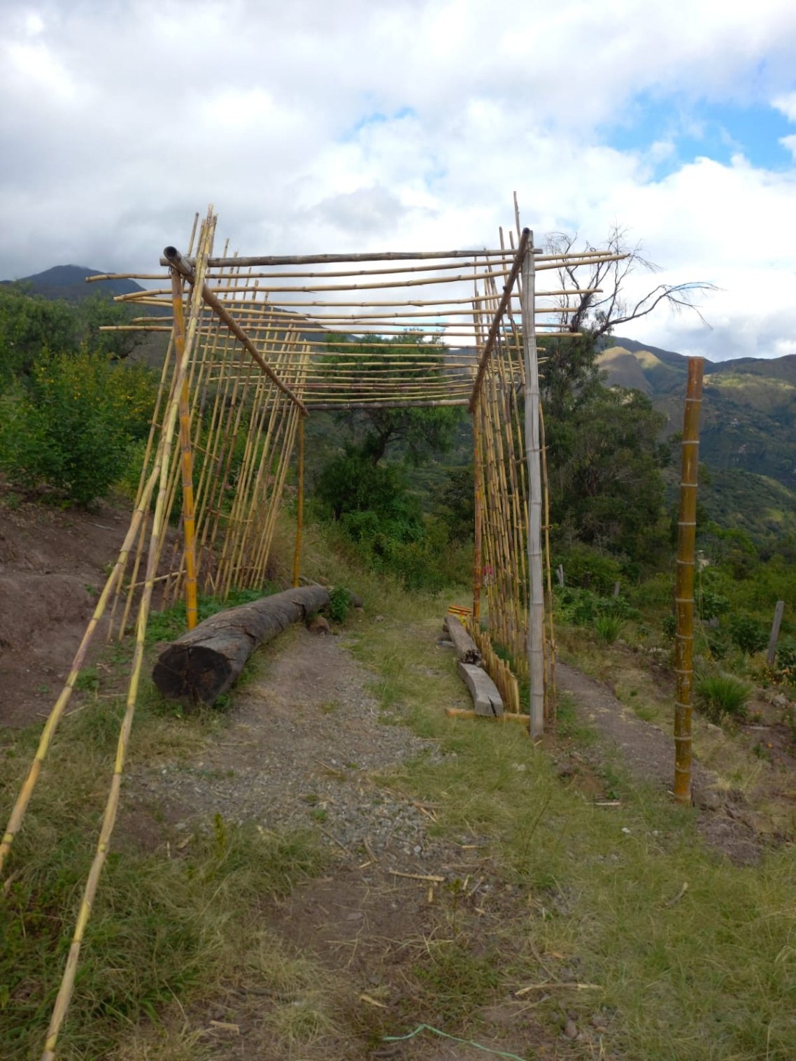 Túnel lector para la comprensión lectora